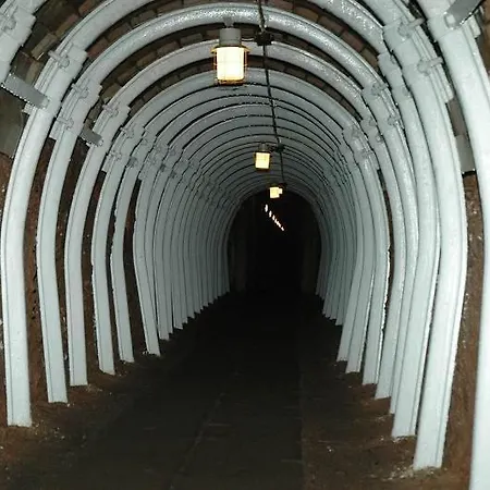 Brodsky Σαλέ Červený Kostelec