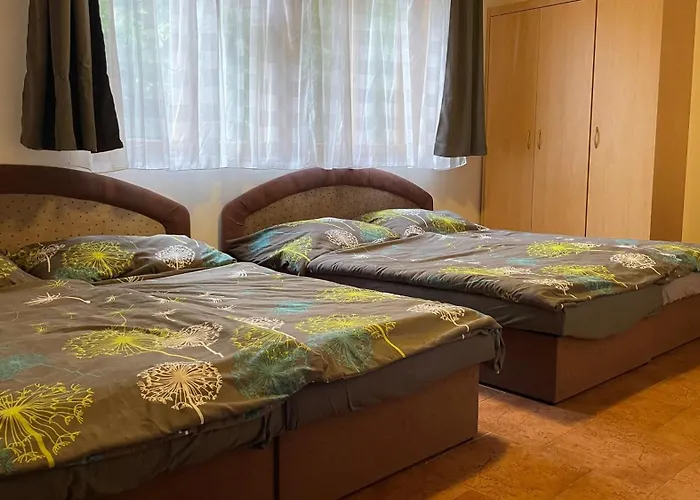 Brodský E1062 Horská chata *